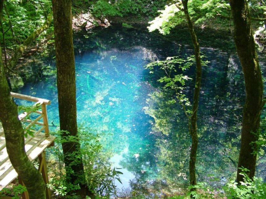 白神山地の1泊2日モデルコース 世界遺産トラベル