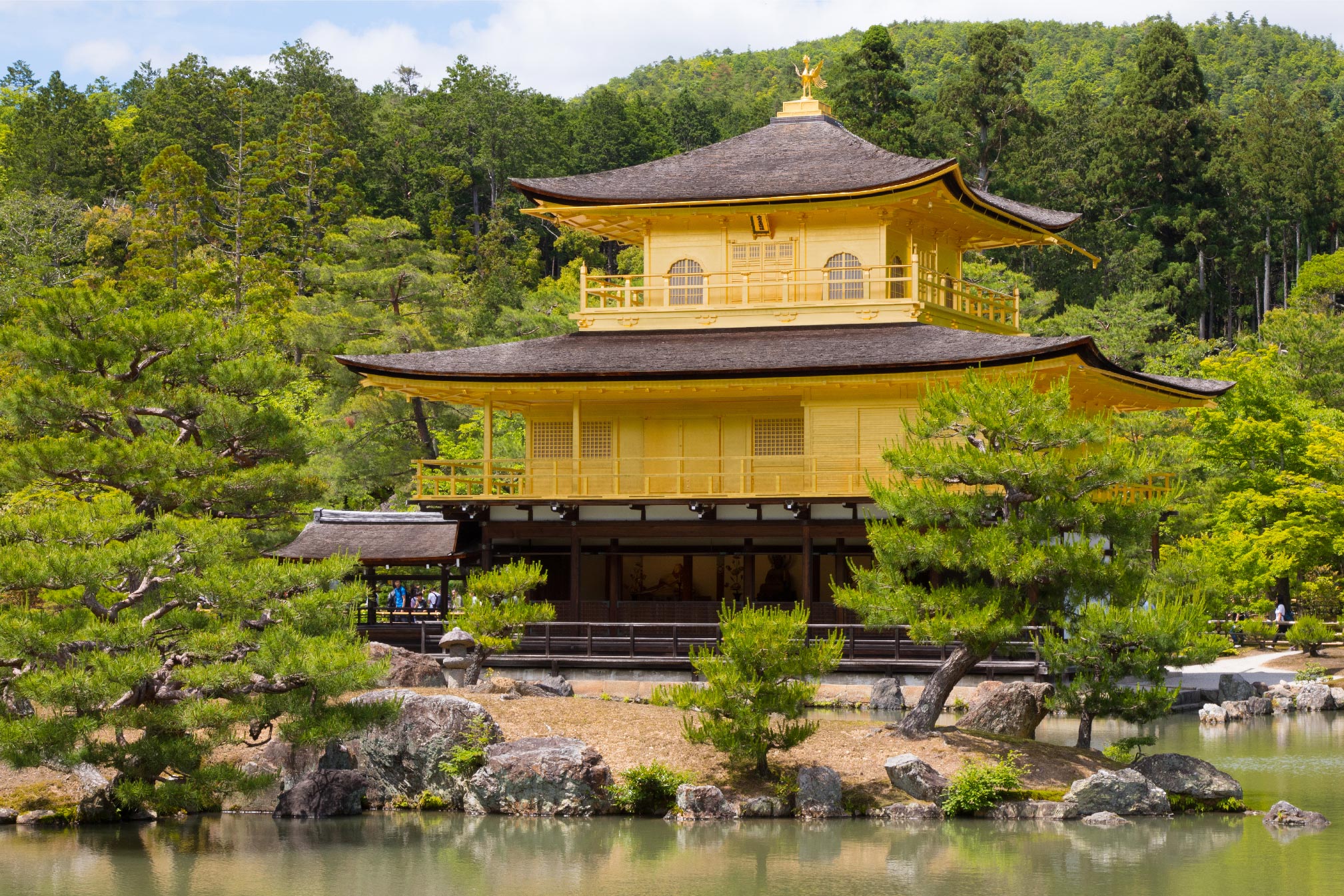 京都公式金閣寺